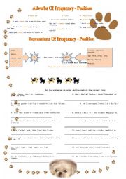 English Worksheet: Adverbs and Expressions Of Frequency Position