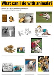 English Worksheet: What can or cant I do with pets?