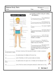 English Worksheet: Body parts