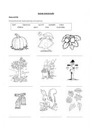 English Worksheet: autumn