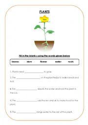 English Worksheet: Plants