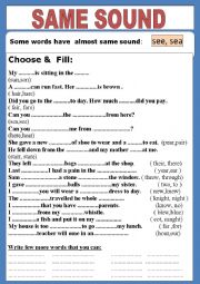 English Worksheet: Words of same sound