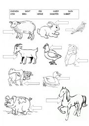 farm animals