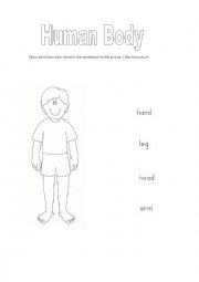 English worksheet: body 