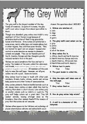 English Worksheet: The Grey Wolf