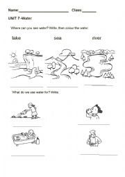 English Worksheet:  water ( primary 1)