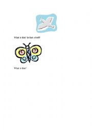 English Worksheet: what