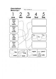 English Worksheet: numbers