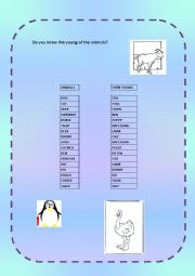 English Worksheet: Animails youngs