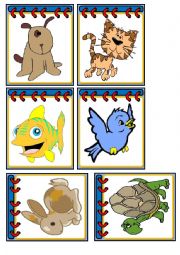 Flashcards - Pets