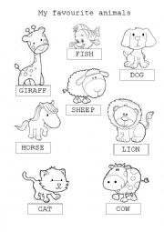 English Worksheet: animals