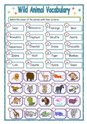 Wild Animals Vocabulary