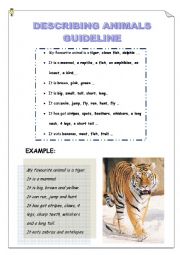 English Worksheet: DESCRIBING ANIMALS GUIDELINE - MY FAVOURITE ANIMAL