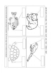 English Worksheet: Label parts of the animals.