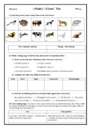 English Worksheet: Lesson 5: Pets 8th form