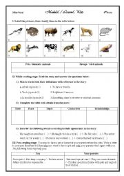 Lesson 5: Pets 8th form