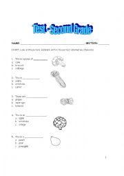 English worksheet: Test Second Grade