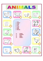 English Worksheet: animals 