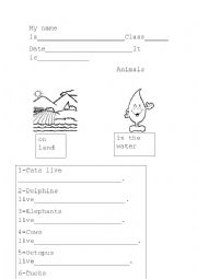 English Worksheet: animal habitat