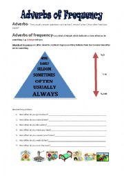 Adverbs of Frequency