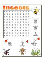 English Worksheet: INSECTS