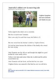 English worksheet: News Report: Australias Oldest Cow