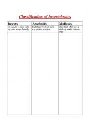 English worksheet: CLASSIFY INVERTEBRATES