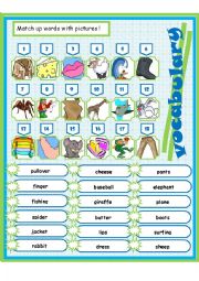 English Worksheet: various vocabulary