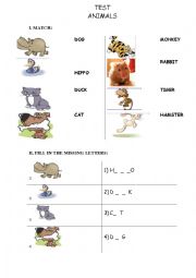 English Worksheet: Test Animals