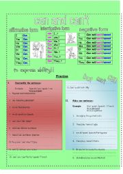 English Worksheet: can, cant