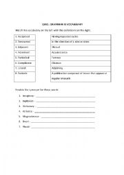 English Worksheet: Quiz - Grammar & Vocabulary