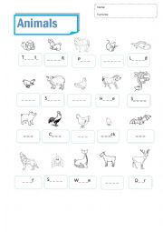 English Worksheet: Animals examn