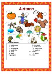 English Worksheet: autumn