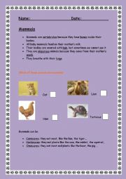 English Worksheet: Mammals