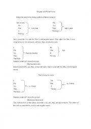 English Worksheet: Singular and Plural Form