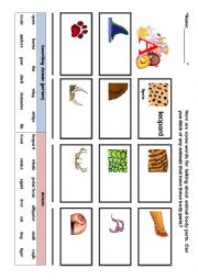 Animals and describe patterns