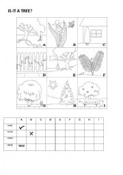English Worksheet: TREES