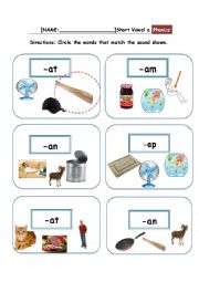 English Worksheet: Short Vowel a word practice 