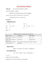 English Worksheet: the present simple