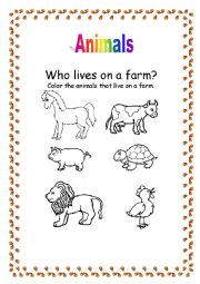 Animals