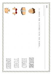 English Worksheet: BODY PARTS WORKSHEET