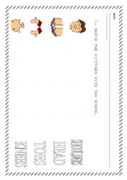 BODY PARTS WORKSHEET