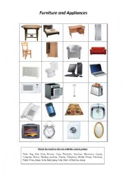 English Worksheet: Furniture and Appliances