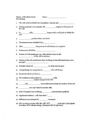 English Worksheet: Cell Unit Study Guide