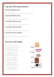 English Worksheet: The five senses