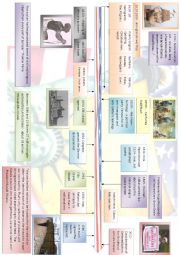 English Worksheet: Time line for US immigration 1620-2012