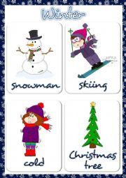 Winter - flashcards