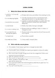 English Worksheet: Animal idioms - definitions & exercises