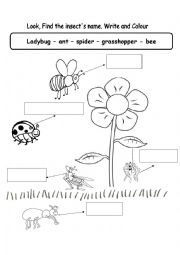 English Worksheet: nsects (bugs)