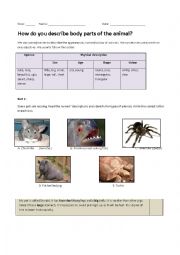 English Worksheet: Body parts of animals